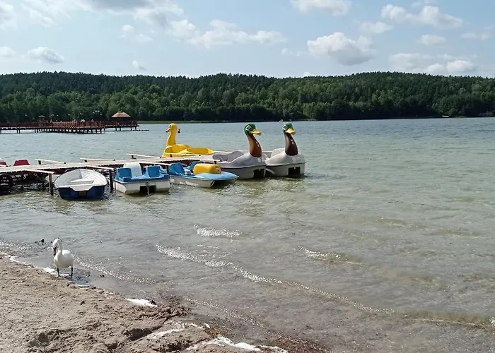 Kaszuby Dom W Wielu *