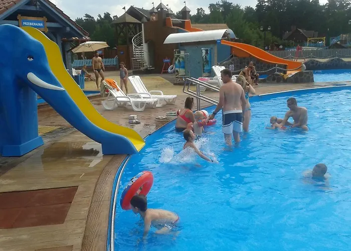 度假居 Kaszuby Dom W Wielu 维勒