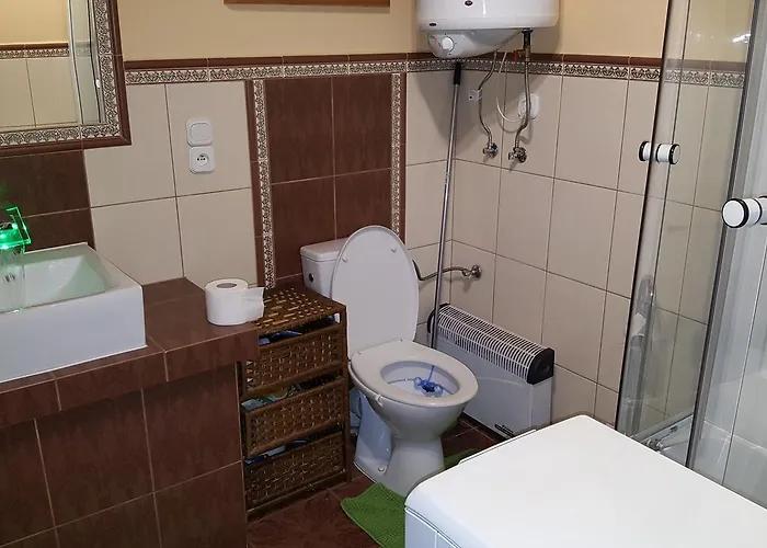 Kaszuby Dom W Wielu 维勒