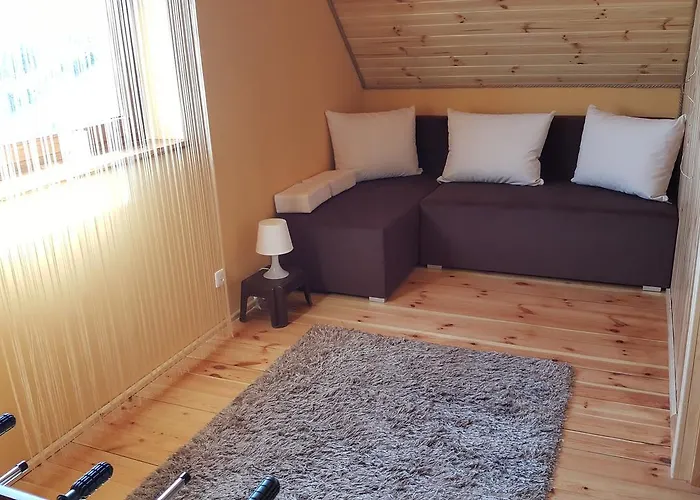 度假居 Kaszuby Dom W Wielu