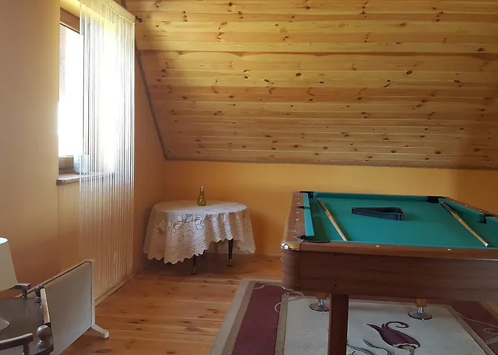 度假居 Kaszuby Dom W Wielu