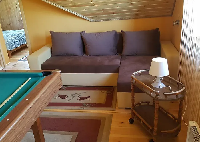 度假居 Kaszuby Dom W Wielu *