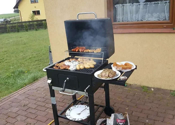 度假居 Kaszuby Dom W Wielu